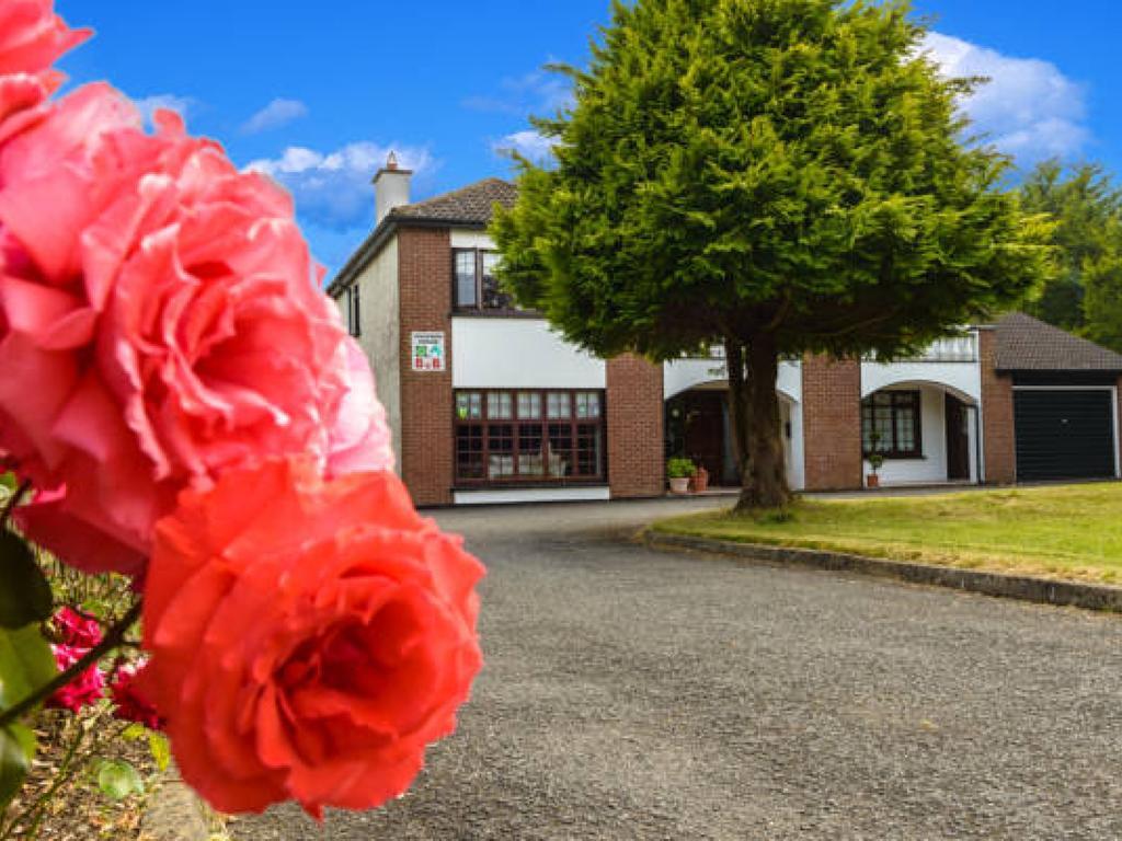 Killowen House B&B Дрогеда Екстериор снимка