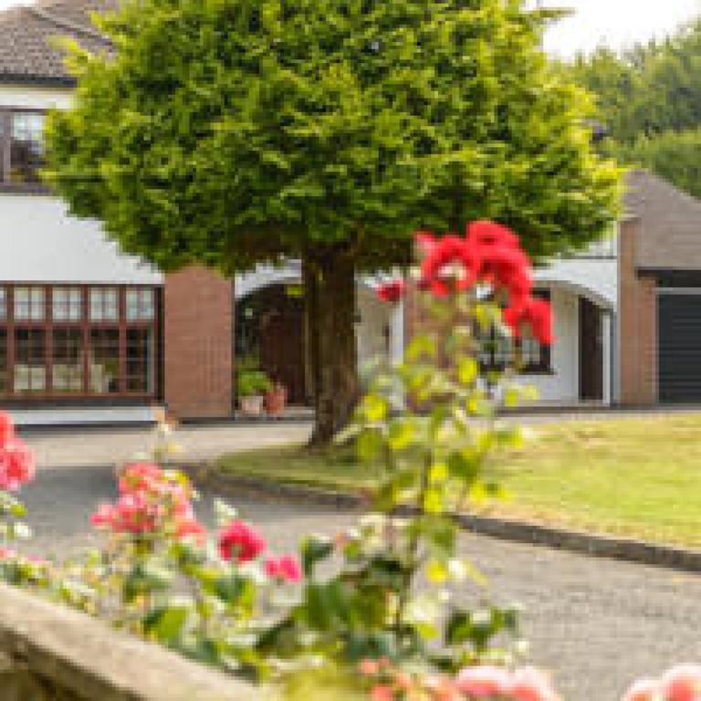 Killowen House B&B Дрогеда Екстериор снимка